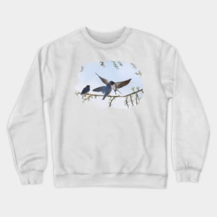 Kleine Schwalbe flieg Crewneck Sweatshirt